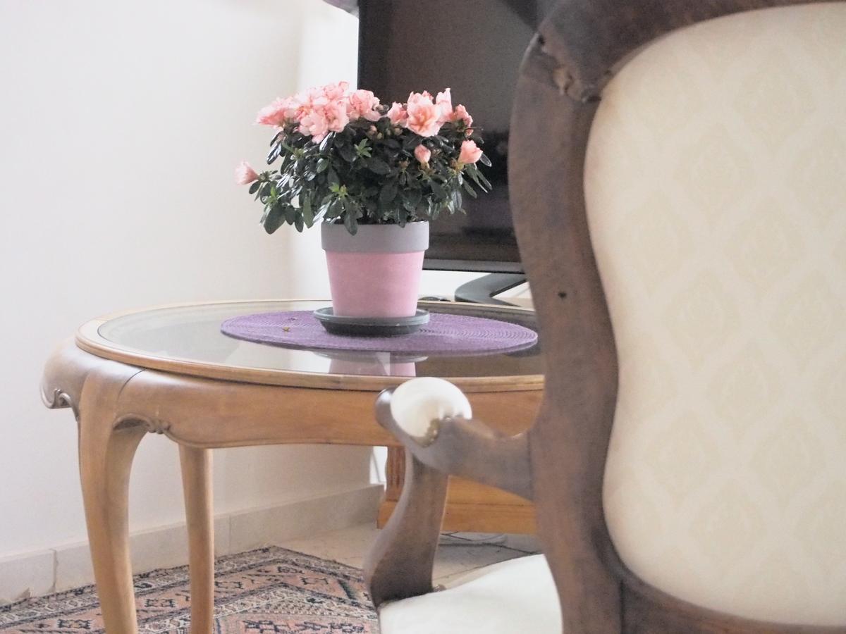 Grilly レ ルミエール ド ジュネーブ Bed & Breakfast エクステリア 写真